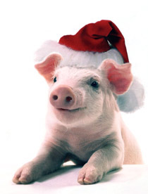 christmas.jpg