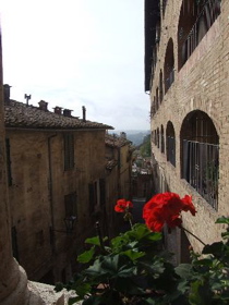 siena_view.jpg