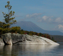 tree_mt.jpg