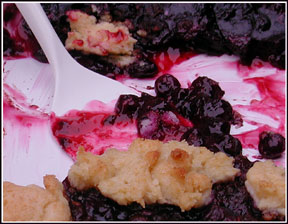 blueberry_crisp_sm.jpg