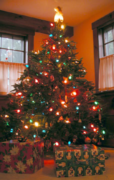 tree.jpg