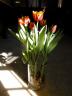 flower_vase.jpg