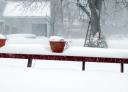 snowy_sunday.jpg