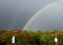 rainbow_other.jpg
