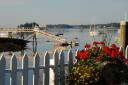 geranium_bay.jpg