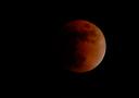 eclipse_51.jpg