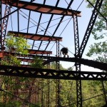goose_bridge