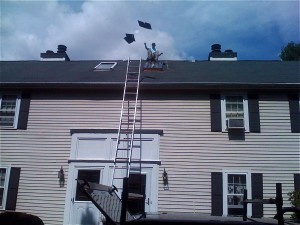 goosed_roof