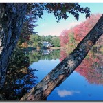 fall_2008