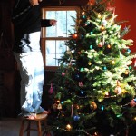 christmas_tree_frog
