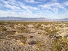 20111024-090436.jpg