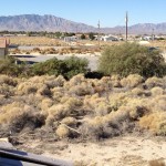 fields